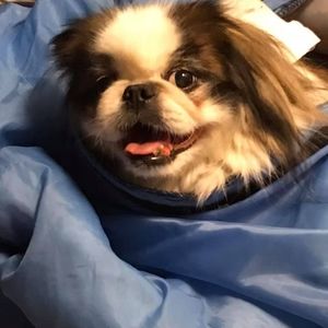 Meet your Posher, Beth